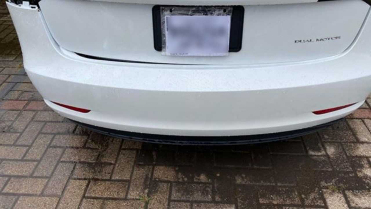 Problema del paraurti posteriore Tesla Model 3: controlla le storie di altri clienti interessati