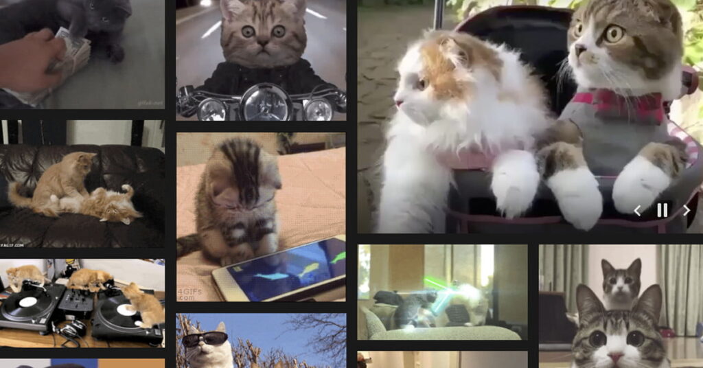 Come creare una GIF sul tuo iPhone