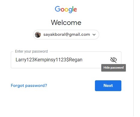 I punti dei browser delle password nascondono il modulo della password
