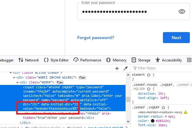 Password Browser Punti Firefox Ispeziona visualizzati