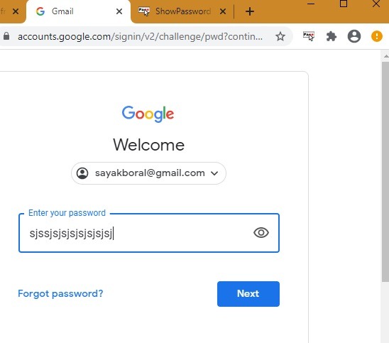 Password Browser Punti Chrome Showpassword Invio
