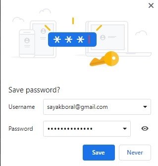 Password Browser Punti Chrome Salva