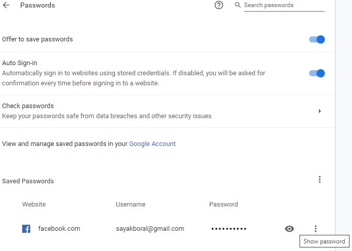 Password Browser Punti Chrome salvati