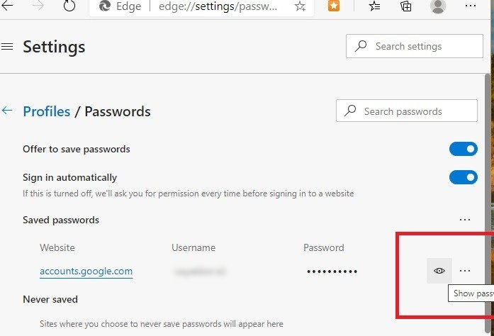 Password Browser Dots Edge Mostra password