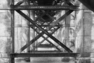 ..but begin to flatten out at ISO 20,000 although the image is still usable