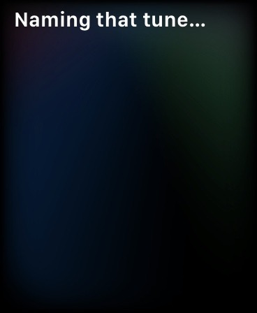 How To Use Siri Apple Watch Name That Song