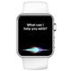 Come usare Siri sul tuo Apple Watch