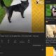 # Estensione del browser Mozilla per monitorare i consigli di YouTube
