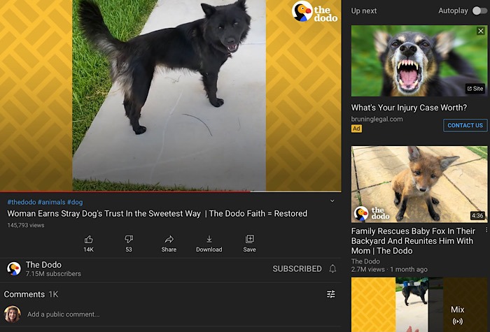 # Estensione del browser Mozilla per monitorare i consigli di YouTube