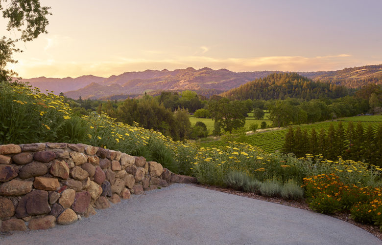 idee di progettazione del giardino da Surfacedesign