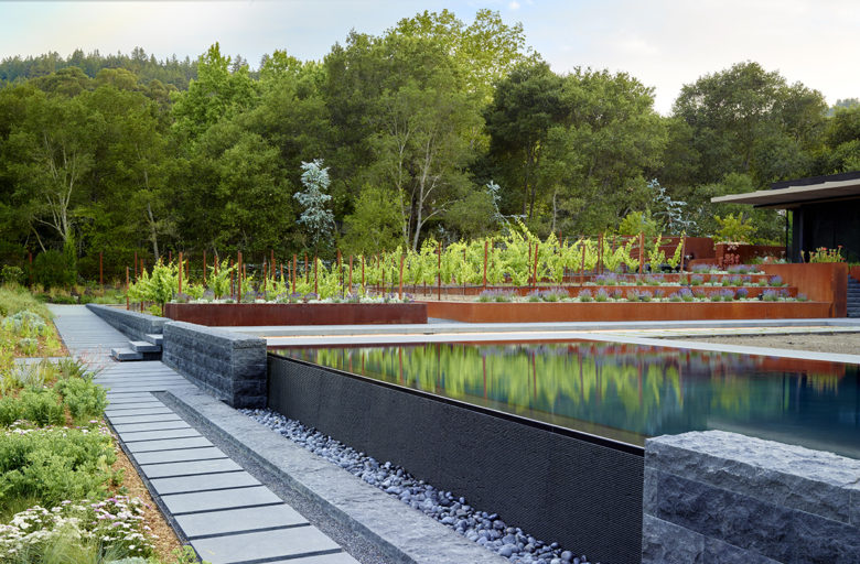 Surfacedesign idee di design per giardini residenziali