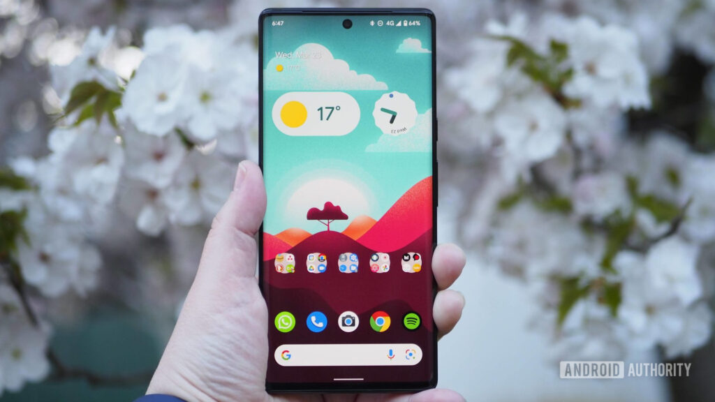 Pixel 6 Pro ottiene una funzione di visualizzazione attesa da tempo con il nuovo mod